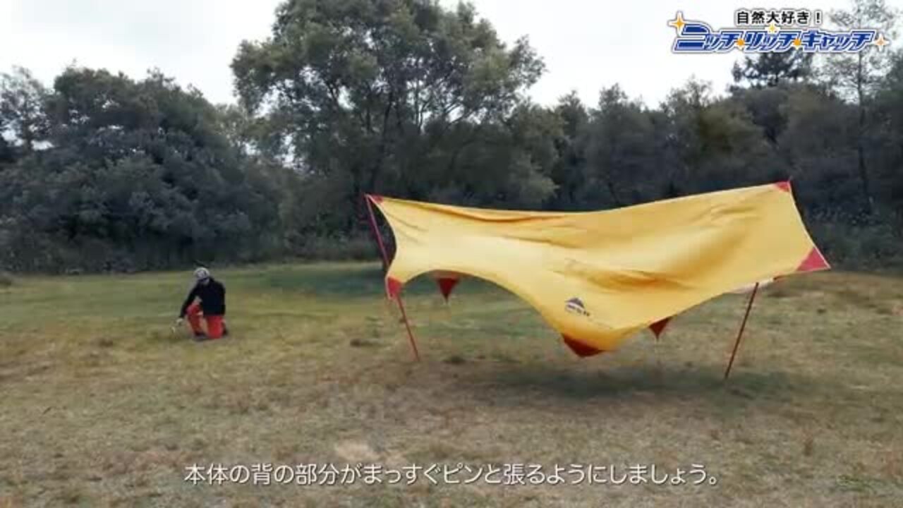 楽天市場】MSR エムエスアール ランデブーサンシールド 120ウィング