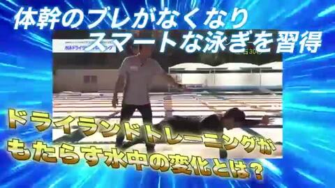 楽天市場】水泳ドライランドトレーニング DVD 〜ケガをしないで