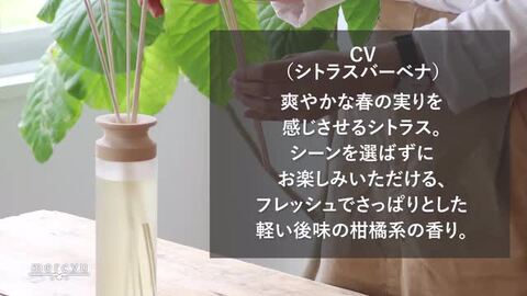 最終価格　ヤングリビング　デザートミスト　ディフューザー　未使用　箱無　オマケ付 デザートミスト ディフューザー | ヤング・リヴィング精油