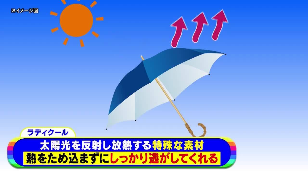 楽天市場】ラディクール涼感ひんやり日傘 通販スクープ 晴雨兼用