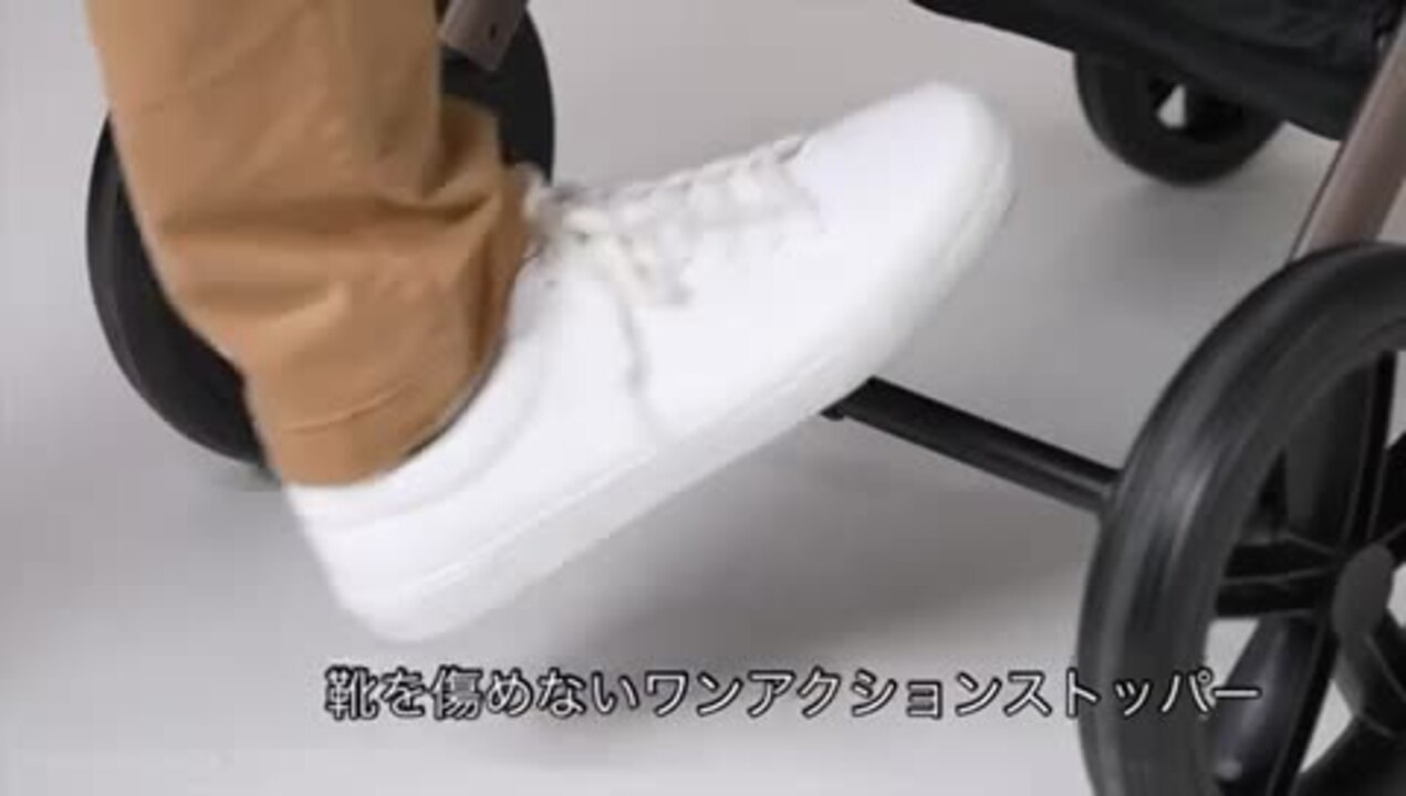 楽天市場 | コムペット公認オンラインショップ - コムペット公認