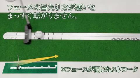 楽天市場】【楽天スーパーSALE半額】【エントリーでP10倍