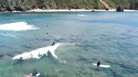 楽天市場】ソフトボード サーフボード 6'10