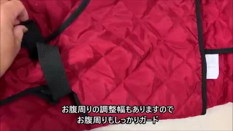 楽天市場】犬 犬服 冬 【 ハイネック バックル付き キルティング