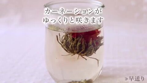 楽天市場】\まだ間に合う/ 母の日 ギフト カーネーション 花 楽天市場】\まだ間に合う/ 母の日 ギフト カーネーション 花