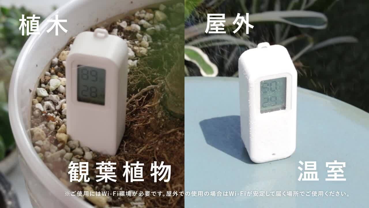 温室・ショーケース 10個収納 デジタル温度計付き 温室・ショーケース 10個収納 デジタル温度計付き 温室・ショーケース