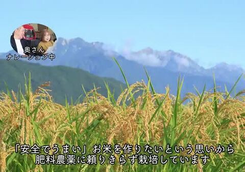 自然農 限界集落の清流米 5㎏ 栽培地標高500m 清流水使用