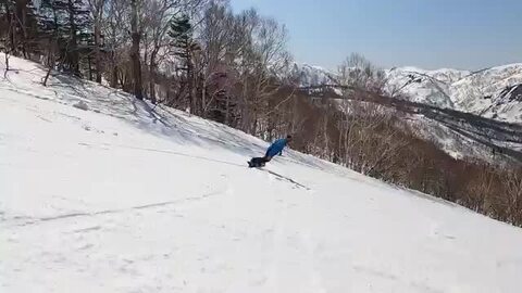 おさかなさん専用 フィールドアース CV157 CV 157