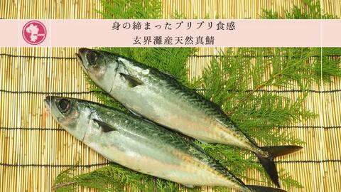 楽天市場】お中元 プレゼント 【玄界灘産天然鯖・鯛】「華（はな）」セット / ごま鯖 ごま鯛 各2個 八女だし茶 ごまさば 鯖 鯛 刺身 鯛刺し身  鯛茶漬け 取り寄せ 福岡 ごまだれ 詰め合わせ 九州 博多 お土産 高級 お取り寄せ ギフト プレゼント 海鮮お茶漬けセット 冷凍 ...