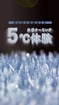 楽天市場】【P10倍 10/31まで】【レビュー投稿で20％OFFクーポン】【2