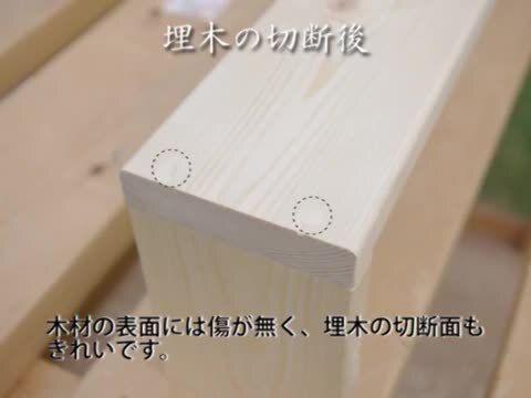 楽天市場】ライフソー クラフト145 本体 (ダボ切り鋸) 30023