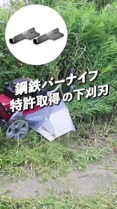 楽天市場】☆マラソン期間中ポイント5倍☆【予約受付中