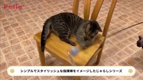 ブラックフォーマル コート(3409121)9号・ブラック｜フォーマル