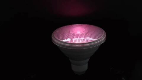 楽天市場】ピンクカラー LEDビームランプ スポットライト 調光