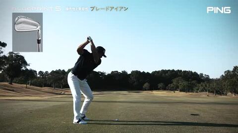 楽天市場】ピン ブループリント S アイアン セット （日本正規品