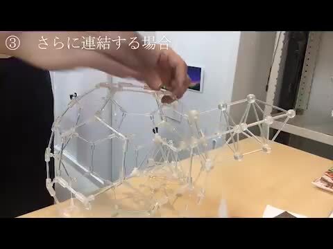 最強の立体クスリエ 模型 バッキーボール（組立式）+3Dカバラパドマ
