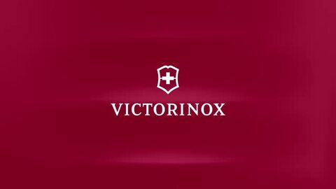 楽天市場】ビクトリノックス 公式 VICTORINOX エクスパンダブル