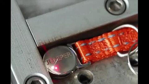 楽天市場】【名入れ可】犬 首輪 ネーム入り 名入れ 迷子札