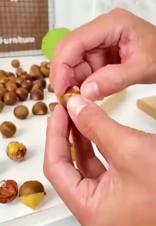 栗12kg ※取引中 楽天市場】【2025新登場】栗むき器 栗クリップ くりむき器 皮