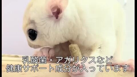 楽天市場】NPF Animal Premium Pack フクロモモンガの主食 350g