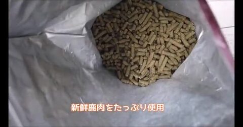 楽天市場】犬用療法食・腎臓の健康サポート1kg入り・Dr.宿南のキセキのごはん（鹿肉ドッグフード/ベニソン/国産/無添加/デイリースタイル/犬/獣医師開発）  : 獣医師・宿南章の愛情ごはん療法食