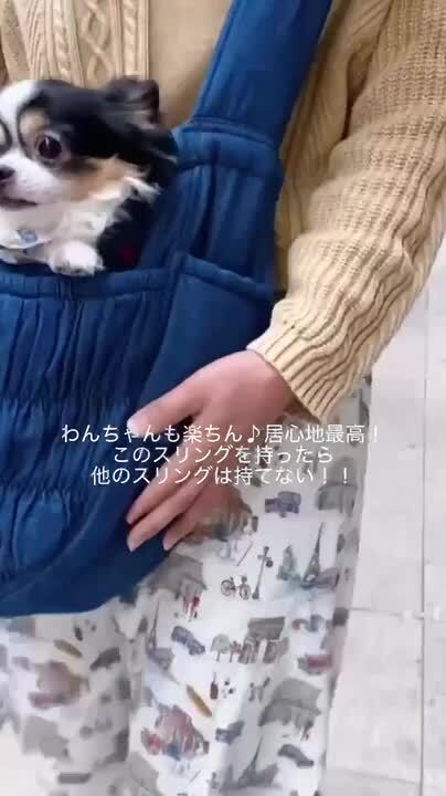 2025年最新】アズノウアズデワン スリングの人気アイテム - メルカリ