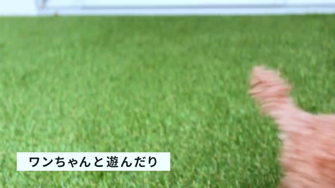 人工芝　1820×20m 人工芝 HC－200 182cm×20m | 株式会社テラモト