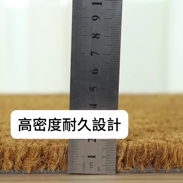 ココスヤシ ココス鉢】(C-46) 1m 15,000円 Aランク - ヤシの木 販売のパーム