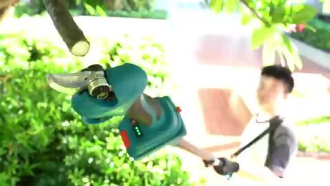 絶品 極上の1本 バーハーバー 471 樹高1.4m位 枝作り 仕立て物 段作り 絶品 極上の1本 バーハーバー 471 樹高1.4m位 枝作り 仕立て物