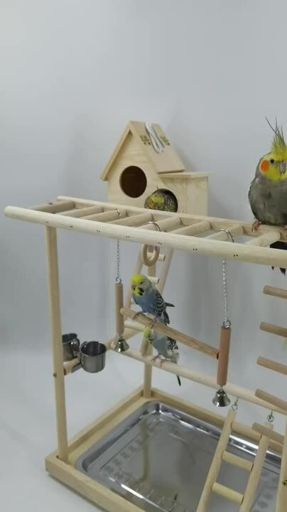⑥ chaco様限定特注　キバタン用揺れるアスレチック、玩具　ハンドメイド 楽天市場】【動画あり】インコ おもちゃ 止まり木 スタンド