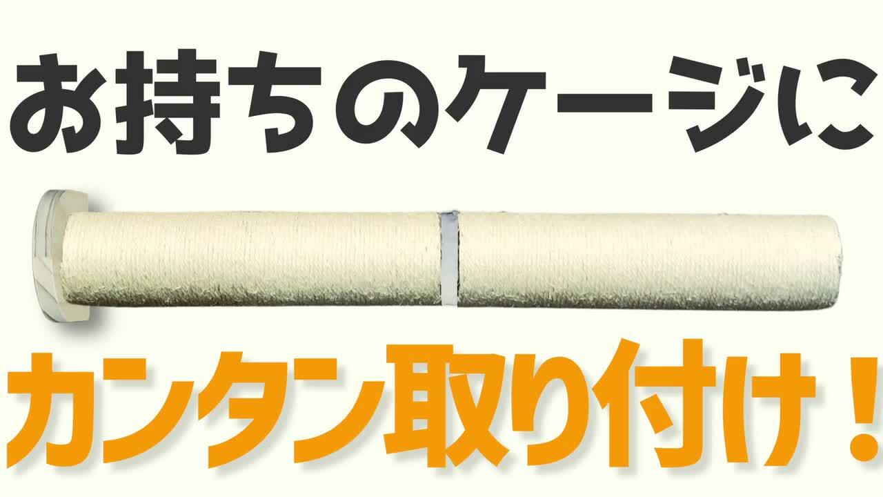支えるネコ 楽天市場】ワンダフルデー☆11％OFFクーポン！爪とぎポール 猫用
