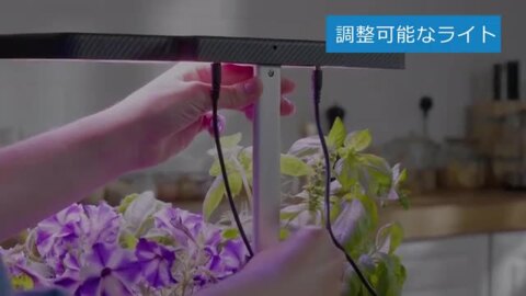 楽天市場】iDOO イドー 水耕栽培キット 野菜栽培セット Wi-Fi アプリ