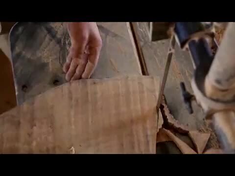 ○数量限定○新作○ 美樹形 希少 大きめ ”オリーブの木 鉢