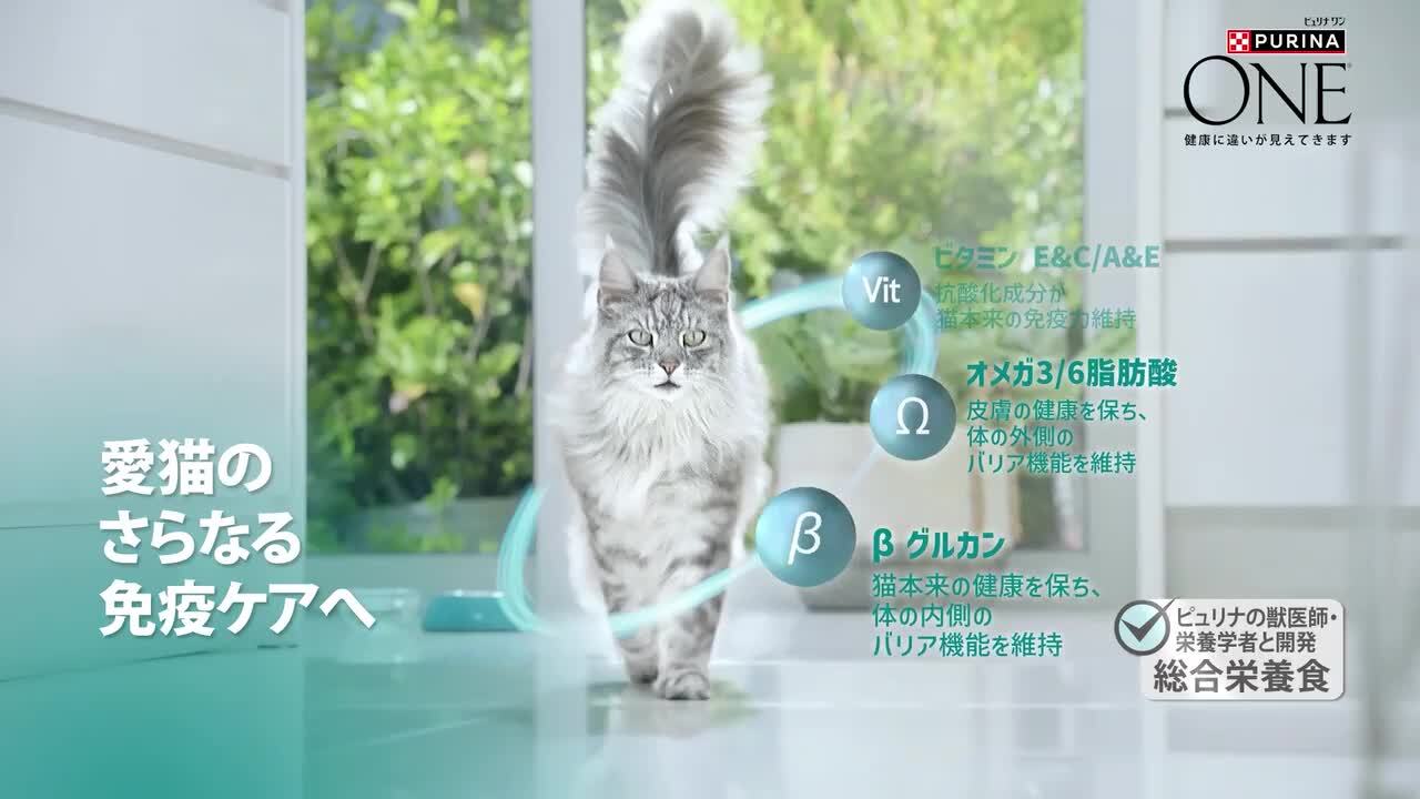 楽天市場】ピュリナワン 猫 避妊・去勢した猫の体重ケア 3kg 猫