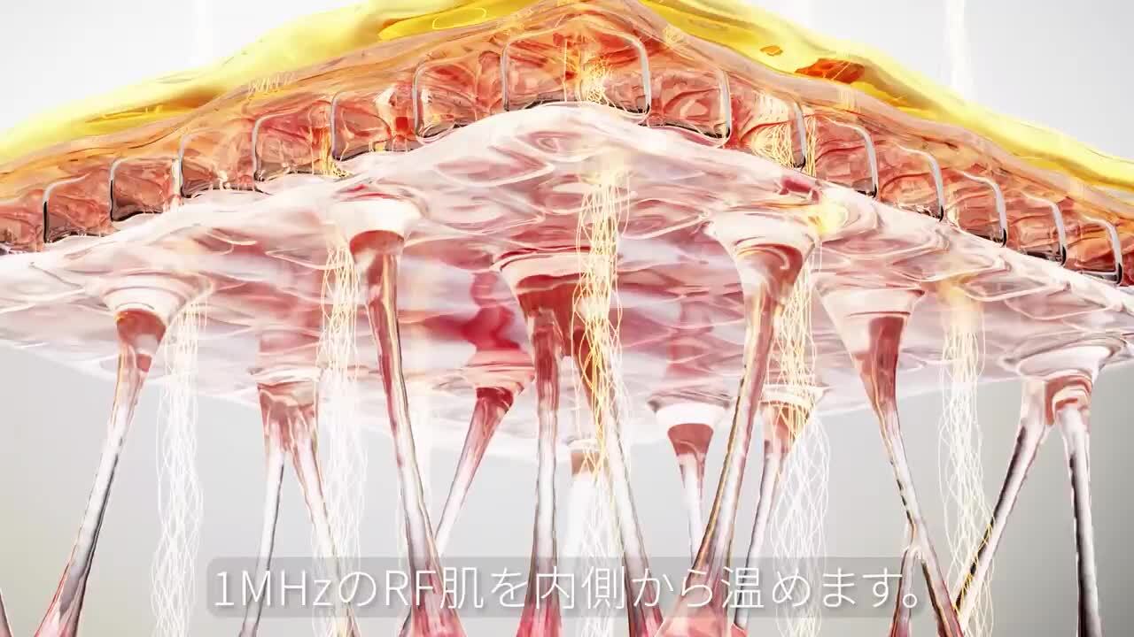 (今だけ値下げ早い者勝ち)美顔器一式 SALONIA 美顔器 ブラシ EMS リフトケア 頭皮 頭筋 ハリ美容