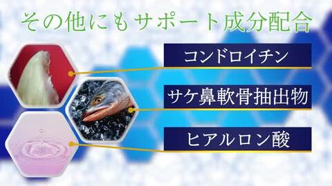 楽天市場】グルコサミン15000mg配合 120粒 コンドロイチン サケ鼻軟骨