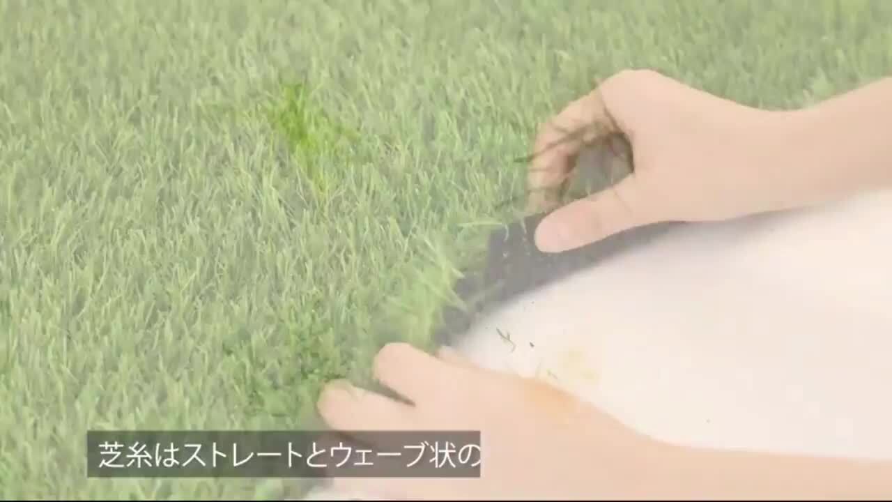 楽天市場】＼マラソン当店P最大20倍UP／【送料無料】人工芝