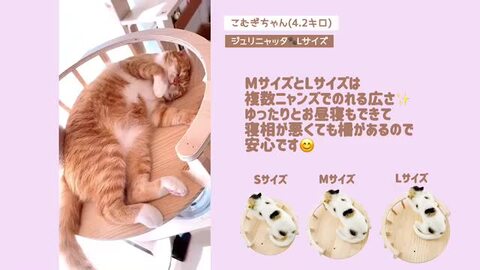 楽天市場】☆ マラソン連動特価 セレクション受賞シリーズ 大人気商品 