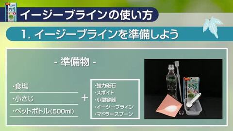 楽天市場】キョーリン イージーブライン ５ｇ 熱帯魚 メダカ 稚魚 餌