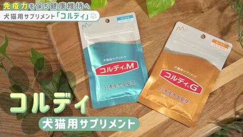 楽天市場】\0のつく日はP4倍&最大10%OFF!/犬 猫 サプリ 犬用 楽天市場】\0のつく日はP4倍&最大10%OFF!/犬 猫 サプリ 犬用