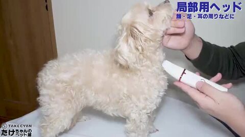 楽天市場】【プロトリマー推薦】 4in1 ペット バリカン犬 猫