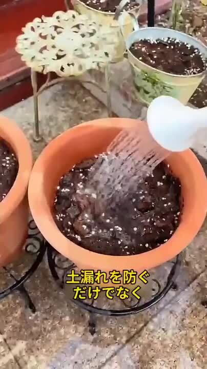 1080 凡才 鉢6点 4539920901846_02.jpg