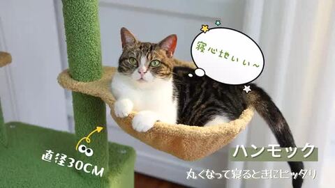 楽天市場】キャットタワー 突っ張り スリム 大型猫 猫タワー 爪