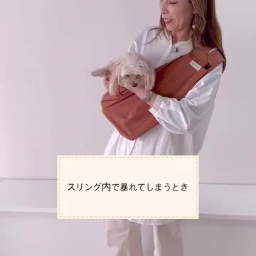 楽天市場】犬 スリング 犬 抱っこ紐 スリング サイズ調節付き