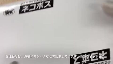 楽天市場】【900円☆大特価セール】OPPO Reno13 Aケース Reno11