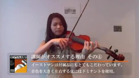楽天市場】EASTMAN SVL80セット 4/4 バイオリン 初心者セット 【マイ 