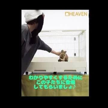 楽天市場】【同梱・無地梱包不可】クリアフロント80【一度のご