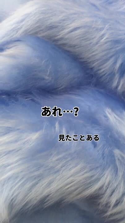 ツモリチサト　ゴマ斑あざらし模様　フェイクファーブルゾン ツモリチサトゴマ斑あざらし模様フェイクファーブルゾン