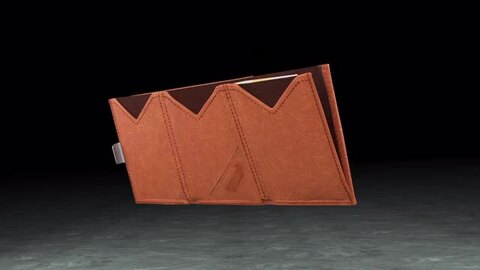 楽天市場】EXENTRI エキセントリ マルチウォレット スキミング