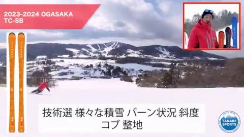 楽天市場】OGASAKA オガサカ スキー板 メンズ レディース＜2024＞ TC 